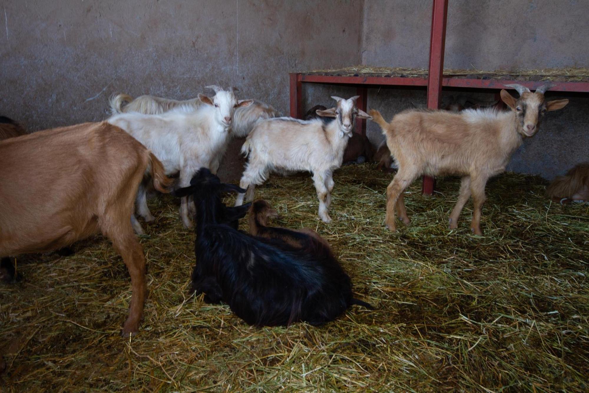 La Ferme De Lalladom Tameslouht Exterior foto