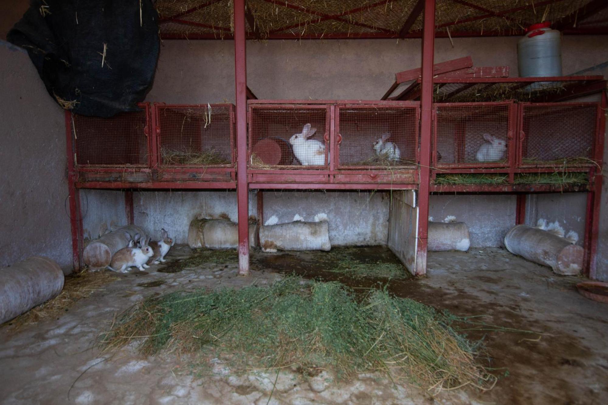La Ferme De Lalladom Tameslouht Exterior foto