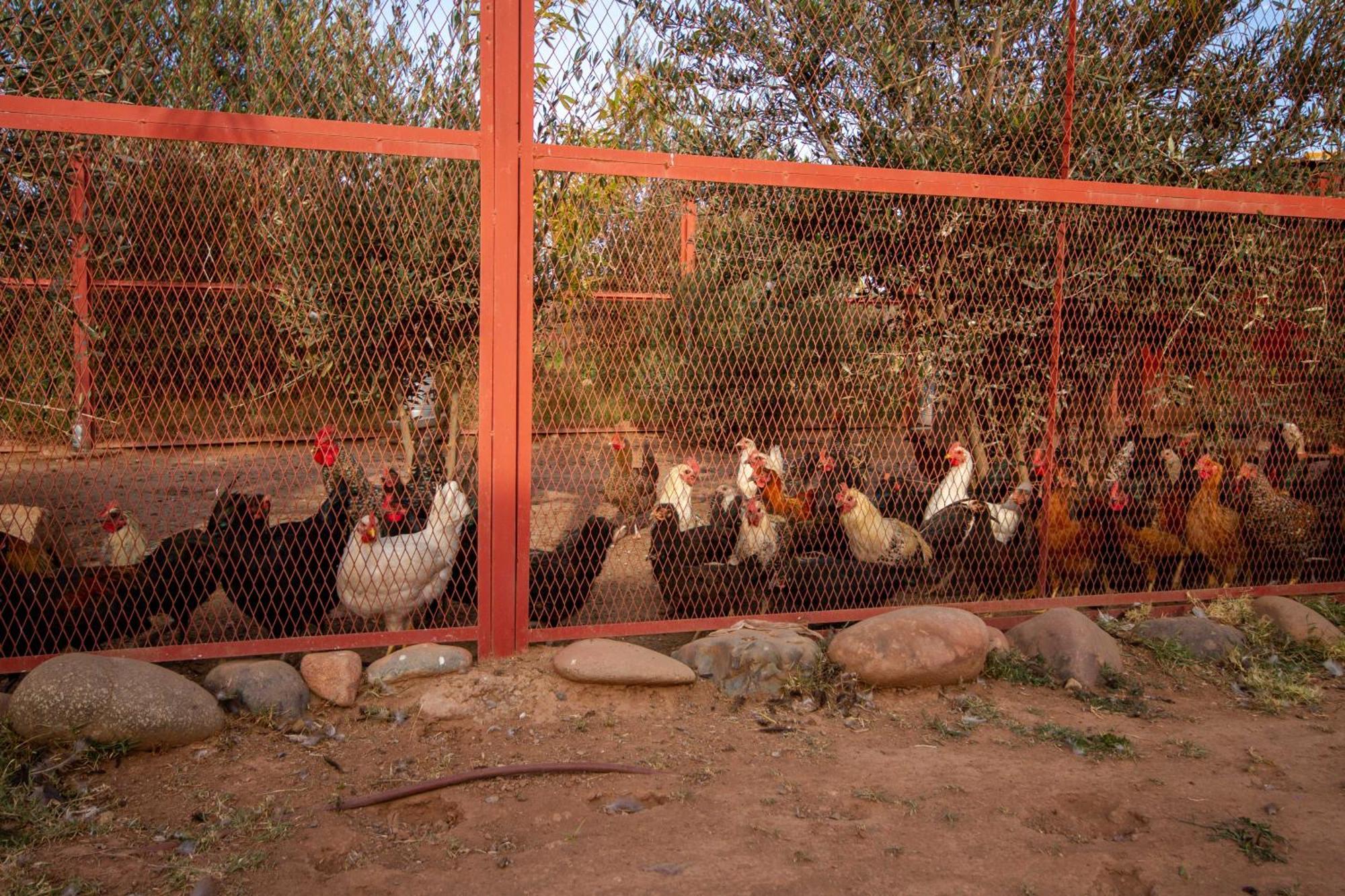 La Ferme De Lalladom Tameslouht Exterior foto